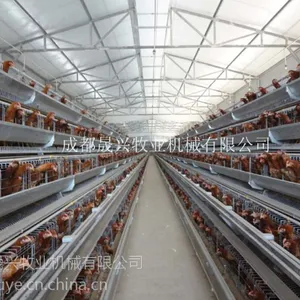 晟兴牧业供应全自动养鸡设备