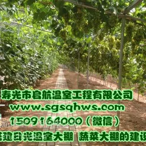大棚建设 有立柱花卉拱棚 寿光市启航温室