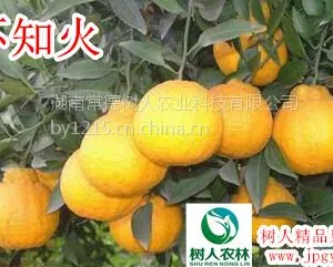 ���Ϲ�Ӧ��֪���̸����� ���ٲ�֪�� ��˹� 30��70����һ����