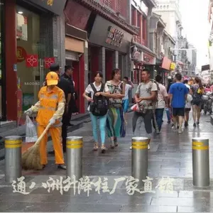 供应通八洲TBZ-LZ20液压防撞路障设施升降路桩