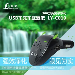 林央厂家热销 OEM车载车充空气净化器 迷你负离子车充氧吧