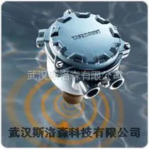 供应罗斯蒙特 3100 系列 - 3101/3102/3105 超声波液位变送器