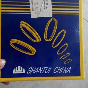 供应山推推土机变速箱修理包