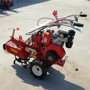 ��԰������ ������ ���������� ��԰������