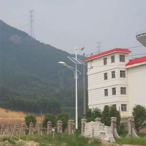 供应40W风光互补路灯