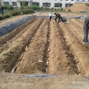 ��Ӧ����ź���Ͳ�