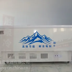 ���е��� �߲˺��ʵ��չʾ�� ��ʽ����䶳���ʹ�ͭ�ܲ����䶳��