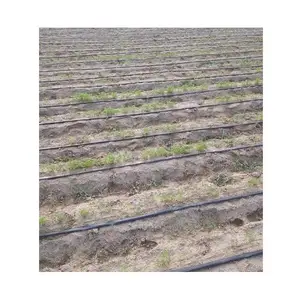 大田胡萝卜滴灌安装 胡萝卜滴灌设计 胡萝卜滴灌规划
