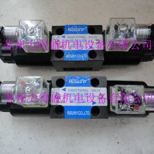 ԭ����װRISUNY��ŷ�D5-03-2B2A-D2