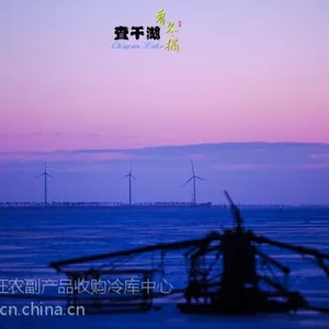 沈阳查干湖鱼礼盒团购_查干湖冬捕鱼批发零售