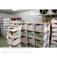安徽蚌埠市水果蔬菜保鲜库厂家建设