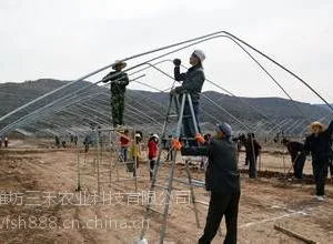 河南漯河无立柱农用蔬菜大棚建设案例--潍坊三禾农业【0536-8700081】