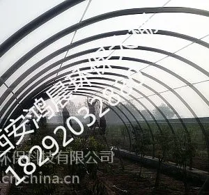 �賿�����߲˴���