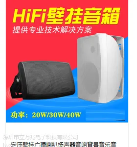 会议室壁挂音箱生产厂