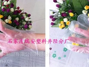 供应无菌***PE材质一次性PE手套
