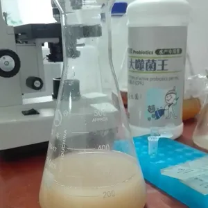 生产供应高浓度噬菌蛭弧菌,蛭弧菌,可以吃病菌的益生菌,生产厂家直销,欢迎来电垂询