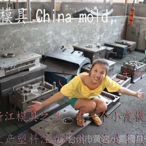 卖塑料剪刀门模具 卖注塑护杠模具 Injection mold