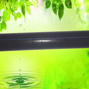 ����***�ʴ���ι�PE�ܲ��������Ҽ⽷��ֲ����ˮ��