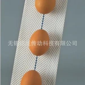 捡蛋输送带 集蛋带 鸡蛋输送带 收蛋输送带 定制加工输送带