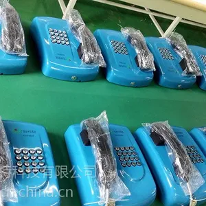 �������д����ڹ�ʽ�Զ����ŵ绰��