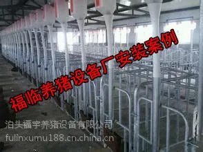 河北福临养猪设备猪哈哈母猪定位栏 限位栏漏粪板 镀锌管 带食槽 10个猪位 养殖器械