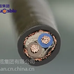 ���ݷ�خ���� ������ϩ�������������� RVVP ��خ����