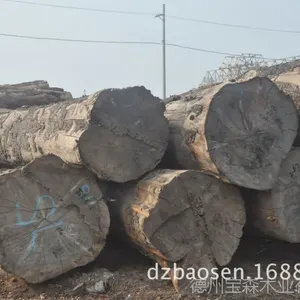 �������ڴ���ɼ ���ֿھ�  ���ֹ���Ŀɶ��� �����ŵ�
