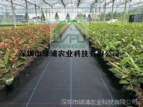 园艺地布 地布 厂家直销