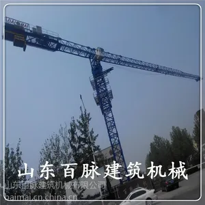 厂家供QTZ50/5011系列塔吊起重机百脉应 订货要求加工生产 质量*** TC5011 35m