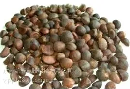 供应山茶仔空气能烘干机厂家