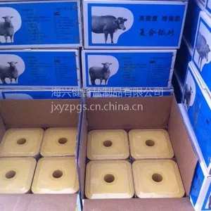 �����к����ؽ������ϳ�������ש������ש��