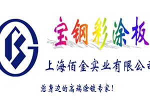 上海佰金实业有限公司