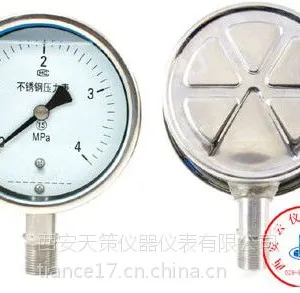 指针式压力表