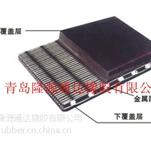 供应SN钢网输送带都应用在哪些领域