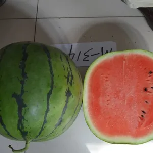 昌乐科委农业发展有限公司