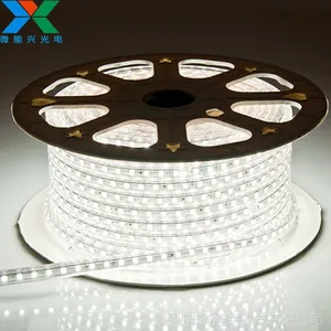 5050�ƴ� RGB����LED�ƴ� 60���ѹ220V������ ������ѹ���ƴ�