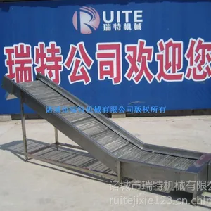 供应瑞特不锈钢网带提升输送机