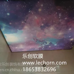 滨州软膜天花滨州天花软膜厂家洗浴中心吊顶乐创4011