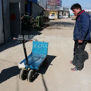 �����е綯���˳������� ��԰�綯���˳� ����ƽ�峵