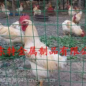 ��ɫ������˿��#����������Χ��#������˿Χ��
