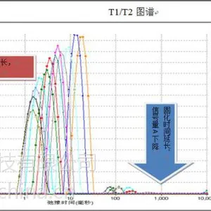 水泥固化过程测试实验