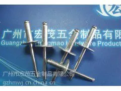 全铁大帽沿抽芯铆钉,大帽拉铆钉,大帽沿拉钉
