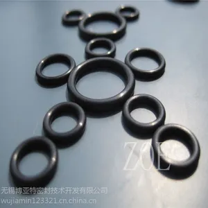 进口氟胶密封圈