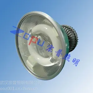 GC108免维护节能无极灯