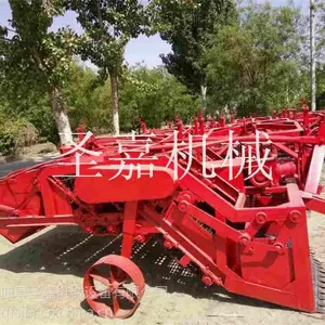 ����ǣ��ʽ������ҩ������ ʥ�ο���ջ�� �ຣ�ڻ�����ʲô����