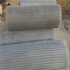 �����������ͼƬ ��˿������Ǯ ��ƽ��������