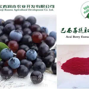 宝鸡润木 巴西莓提取物 阿萨伊粉 4:1