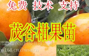 ������������ï�ȸ���ľ�۸����������ï�ȸ���ľ�۸�Ҫ����Ǯ���������ʹ���