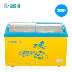 ��ѩ�����SD/SC-266YA��ʽ���/͸��չʾ/�䶳���/���õ��µ����