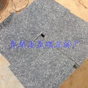 ֱ��ɭ������֦�� ɭ����ʯ�Ĺ��� ��ɫ�����ҳ��� ��˶ʯ�ĳ�